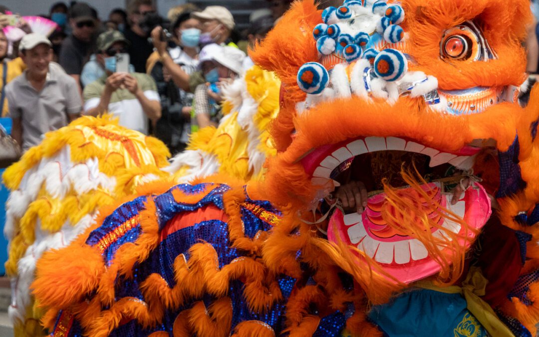Lion dance performance