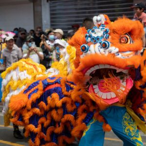 Lion dance performance